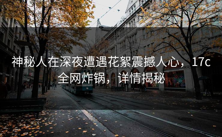 神秘人在深夜遭遇花絮震撼人心，17c全网炸锅，详情揭秘