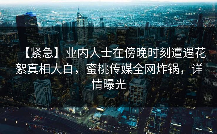 【紧急】业内人士在傍晚时刻遭遇花絮真相大白，蜜桃传媒全网炸锅，详情曝光