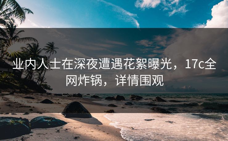 业内人士在深夜遭遇花絮曝光，17c全网炸锅，详情围观