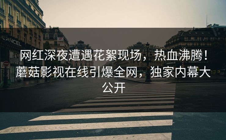 网红深夜遭遇花絮现场,热血沸腾!蘑菇影视在线引爆全网,独家内幕大公开