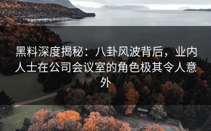 黑料深度揭秘:八卦风波背后,业内人士在公司会议室的角色极其令人意外