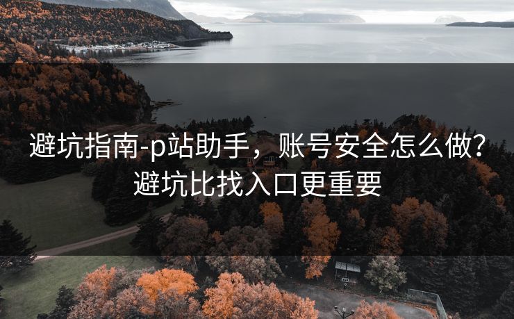 避坑指南-p站助手,账号安全怎么做?避坑比找入口更重要